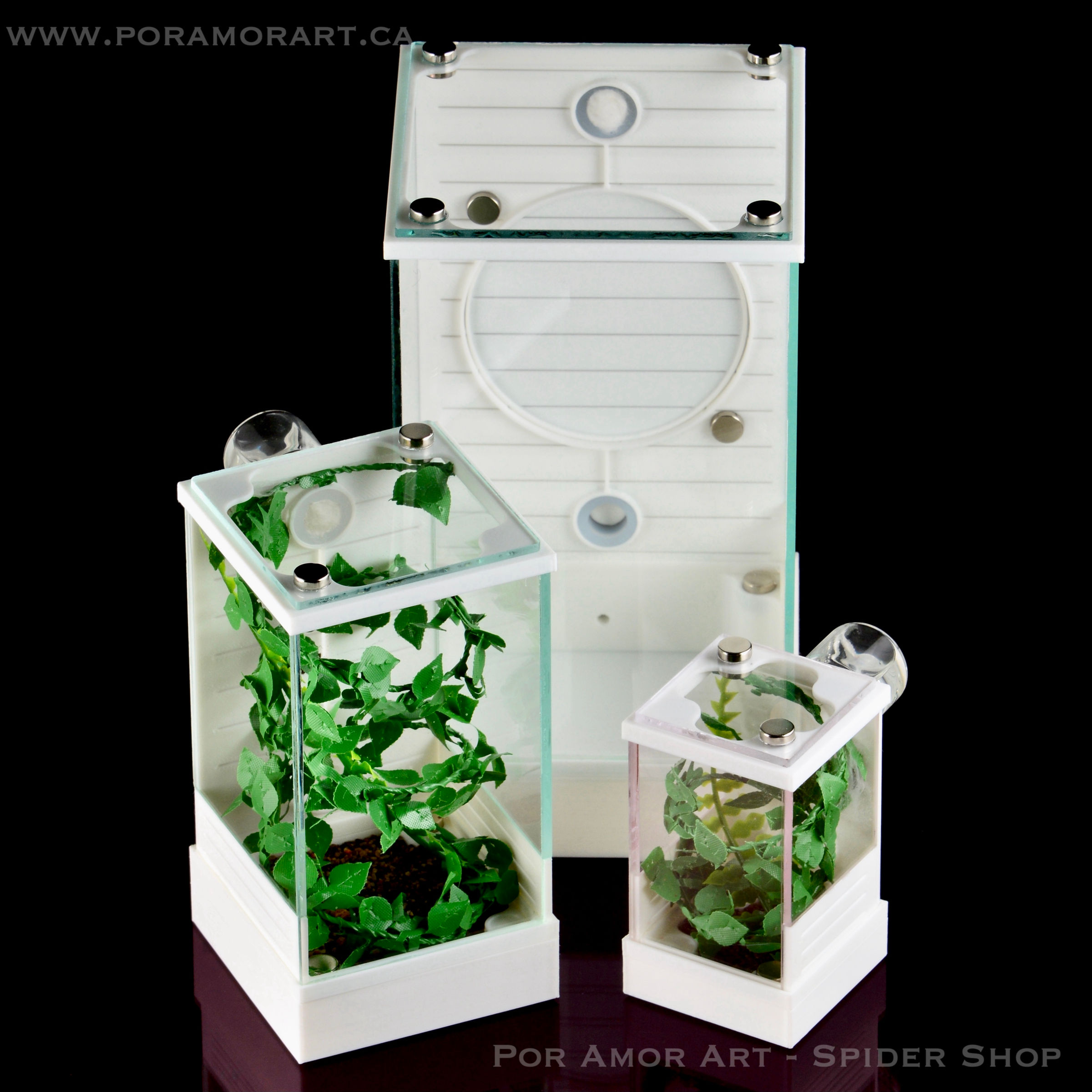 Jumping spider enclosure