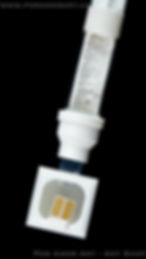 Thumbnail: test tube setup for ants
