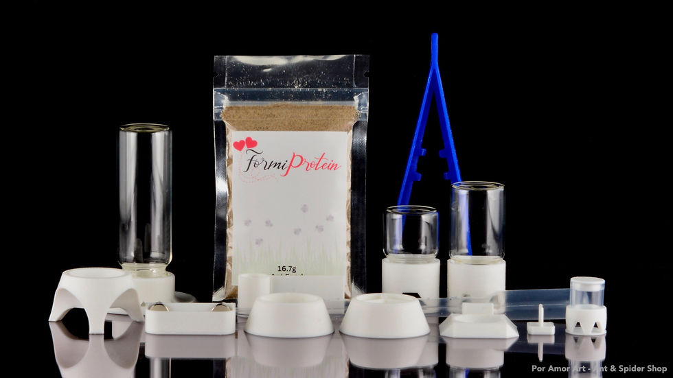 Thumbnail: Protein Kit Only with FormiProtein and Accessories