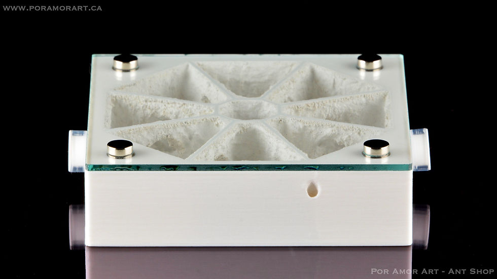 Thumbnail: 3d printed ant farm