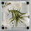Thumbnail: A gothic-themed spider enclosure magnetic decoration, with a hand in a partially closed position.