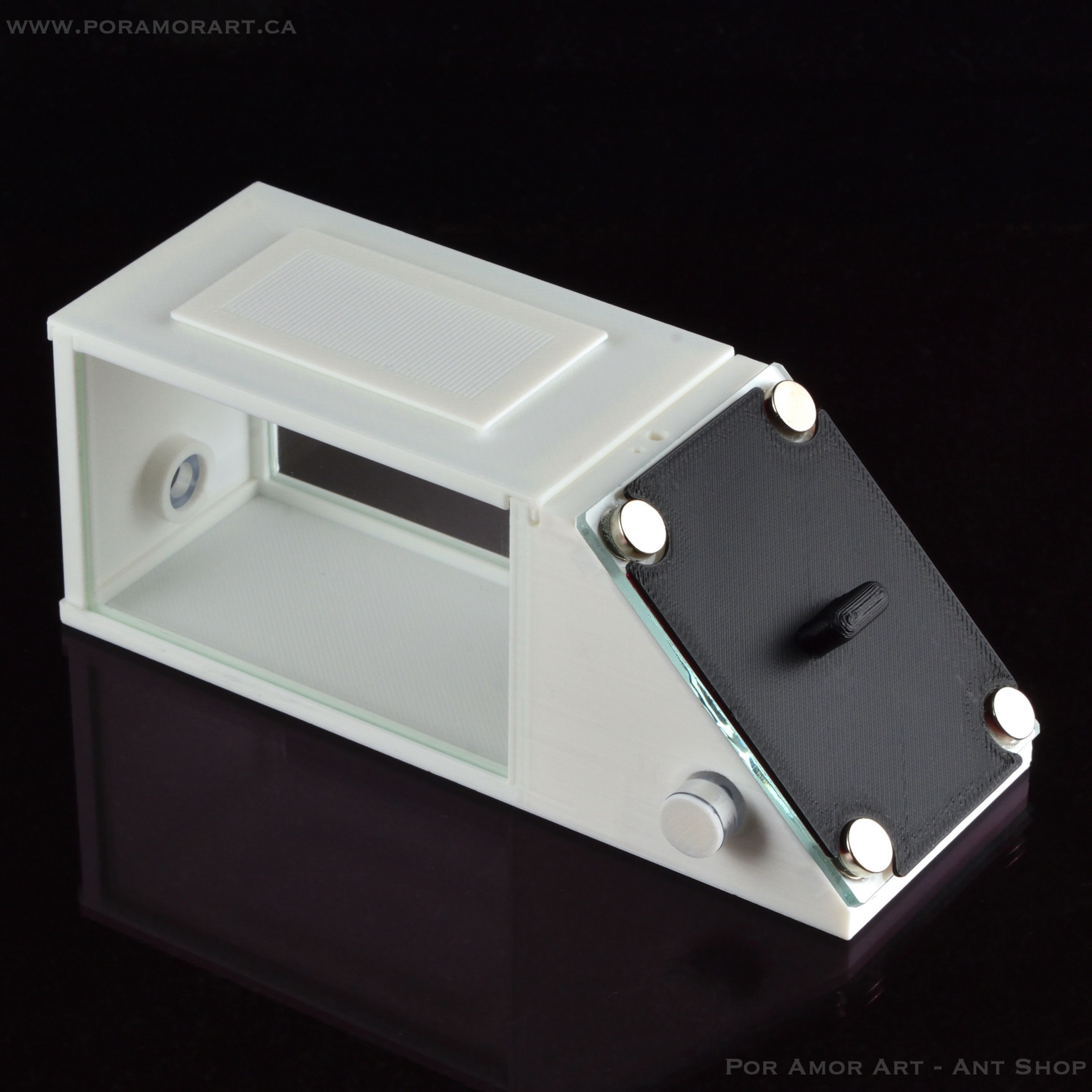 formicarium with outworld attached