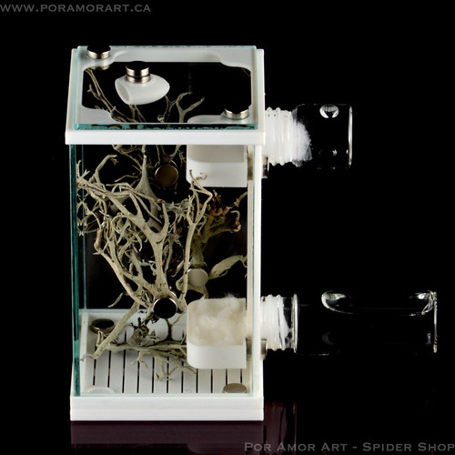 LightVent Arboreal Glass Tower Jumping Spider Enclosure