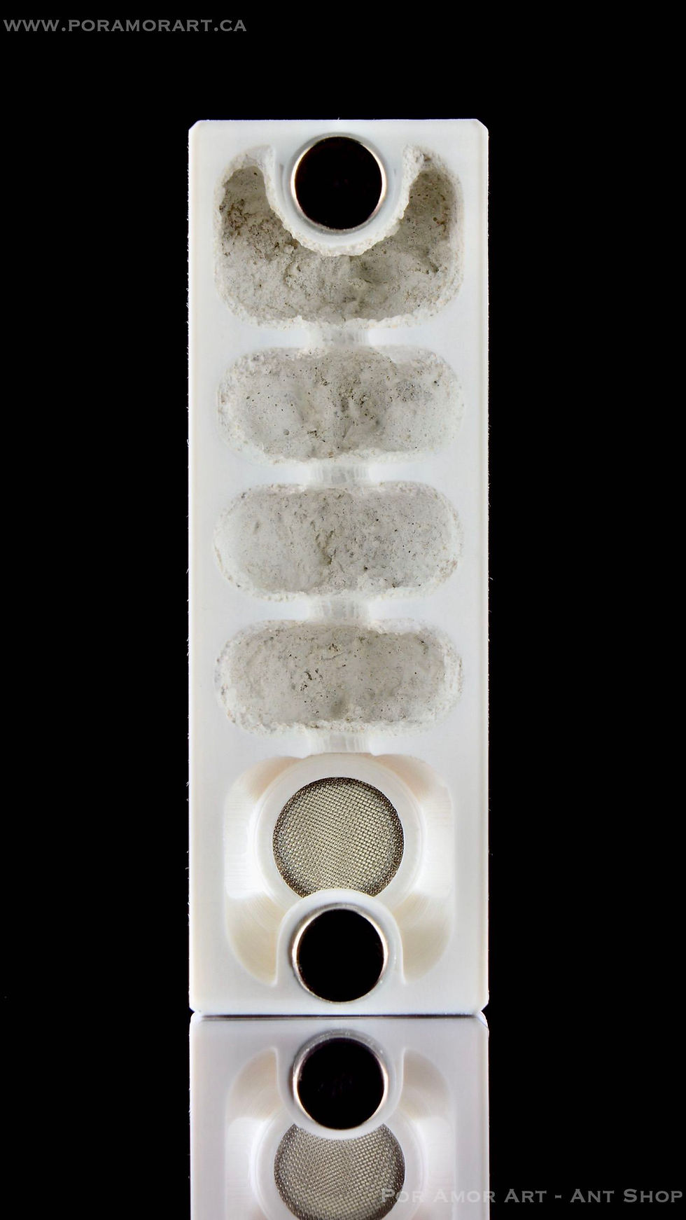 Thumbnail: vertical formicarium