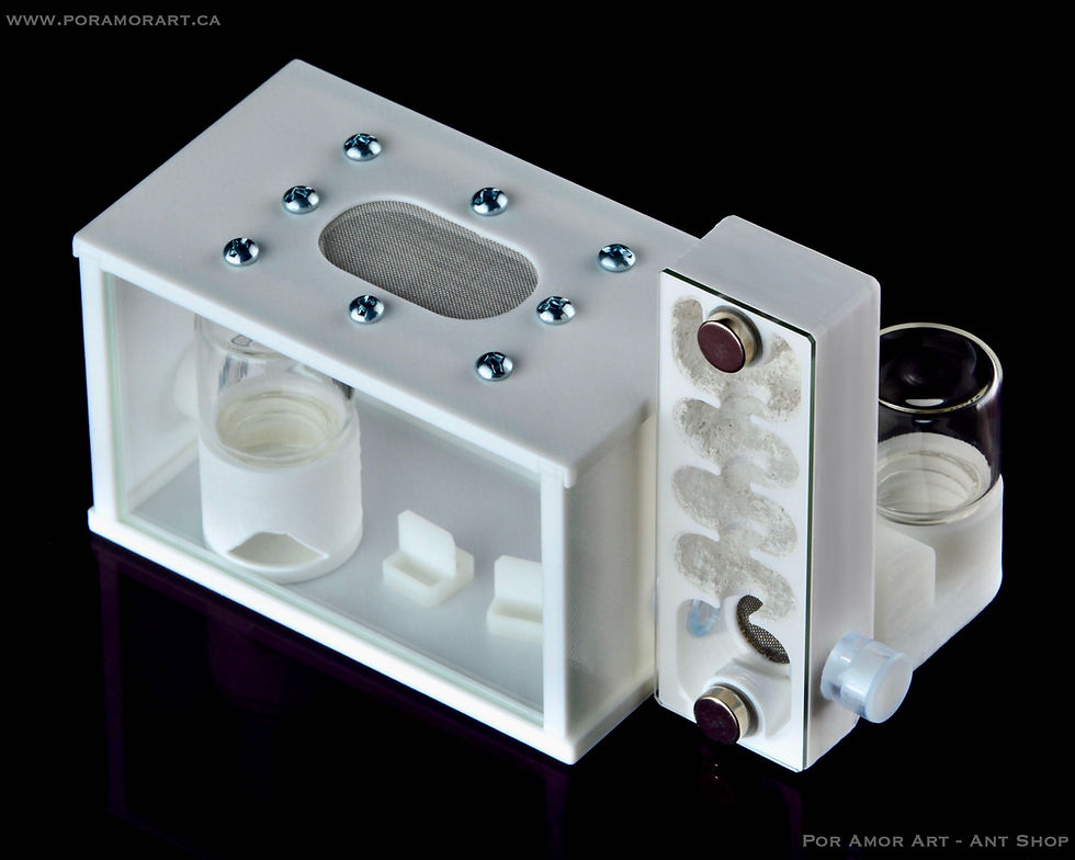 Thumbnail: vertical ant farm