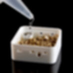 ItsyVent Substrate Tray - Replacement Tray for Optimal Spiderling Habitat Maintenance.