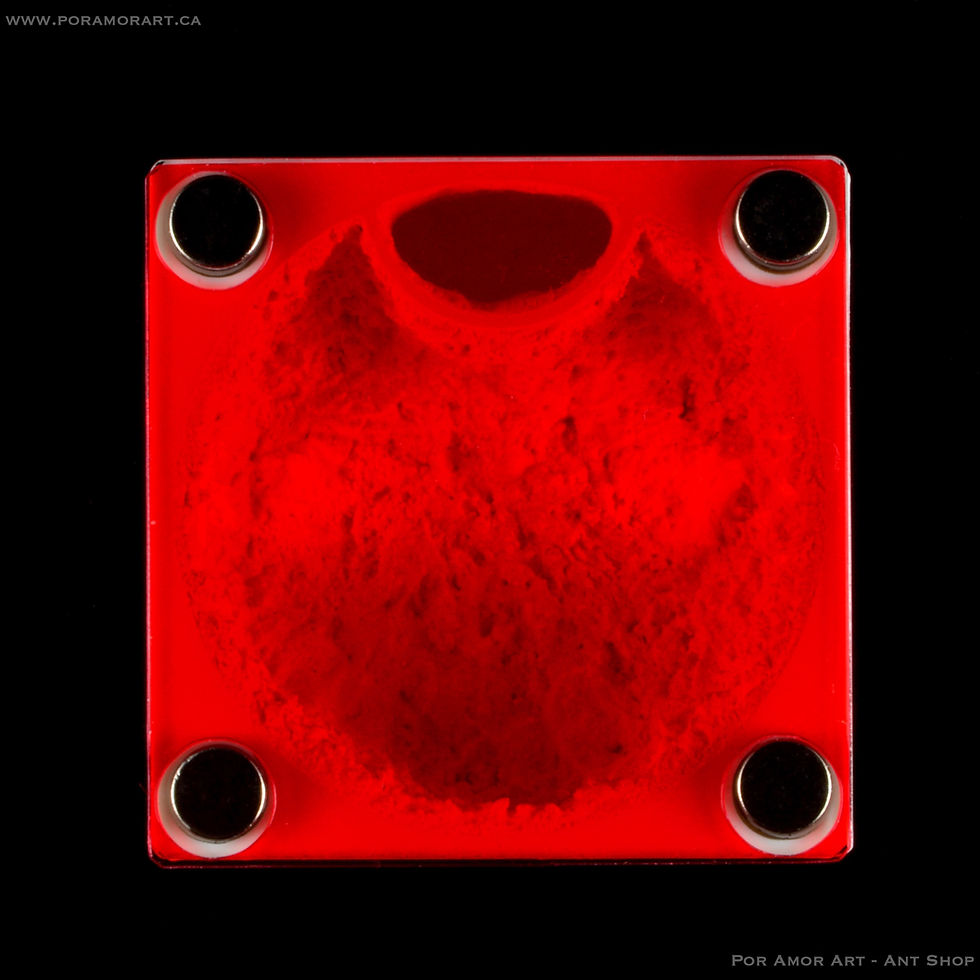 Thumbnail: formicarium with red film