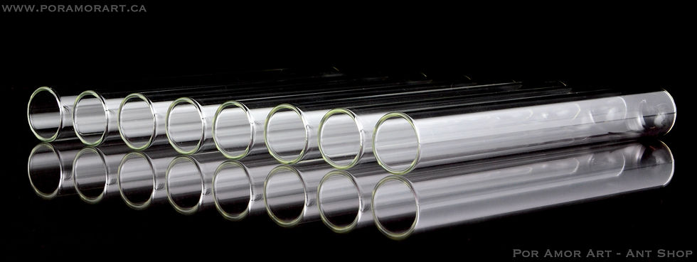 Thumbnail: test tube for ants