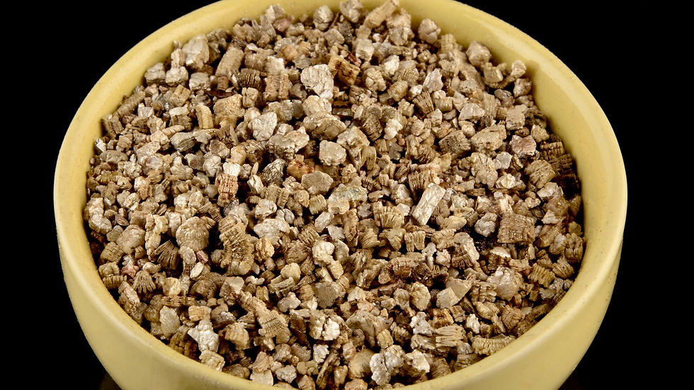 Thumbnail: LightVent jumping spider enclosure kit showcasing its parts and use