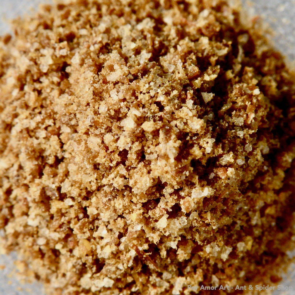 Thumbnail: Close up of FormiProtein powder (protein ant food).