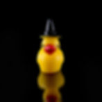 Mini witch duck ornament for jumping spider enclosure decoration
