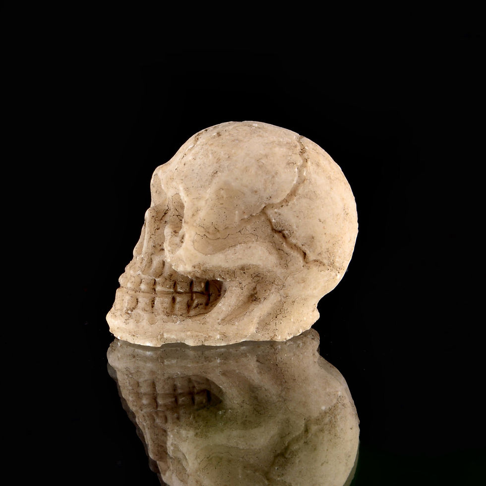 Thumbnail: Mini skull decor for spider enclosures