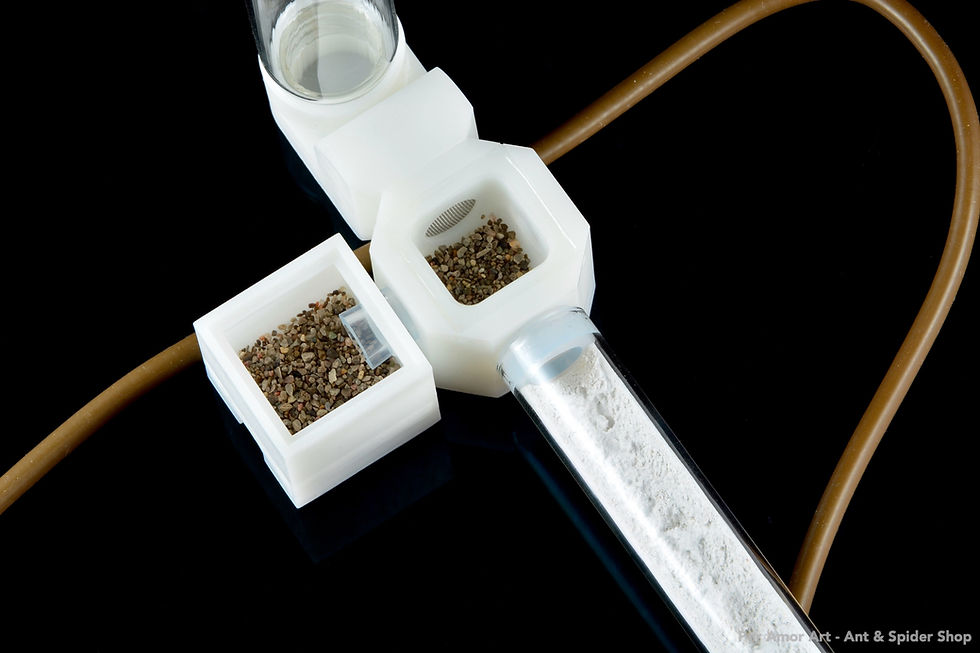 Thumbnail: Water evaporator module for ant formicarium