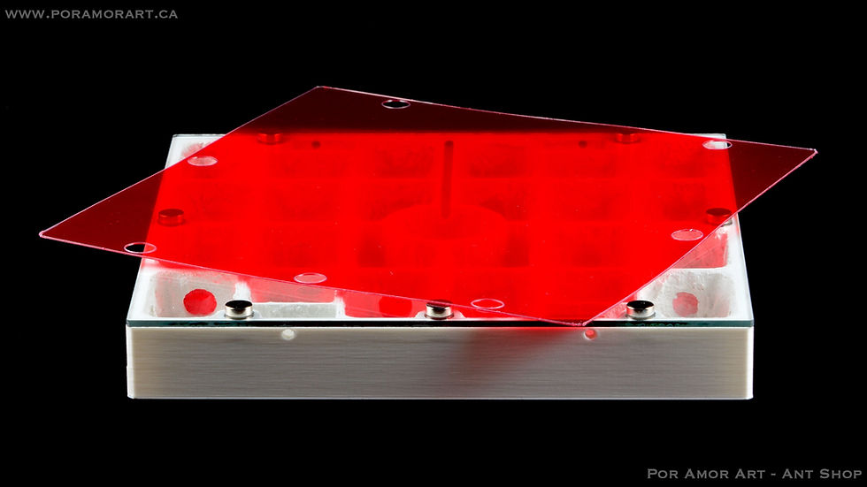 Thumbnail: Hydro Penta shown fully covered with high-transmission red film for light-sensitive species