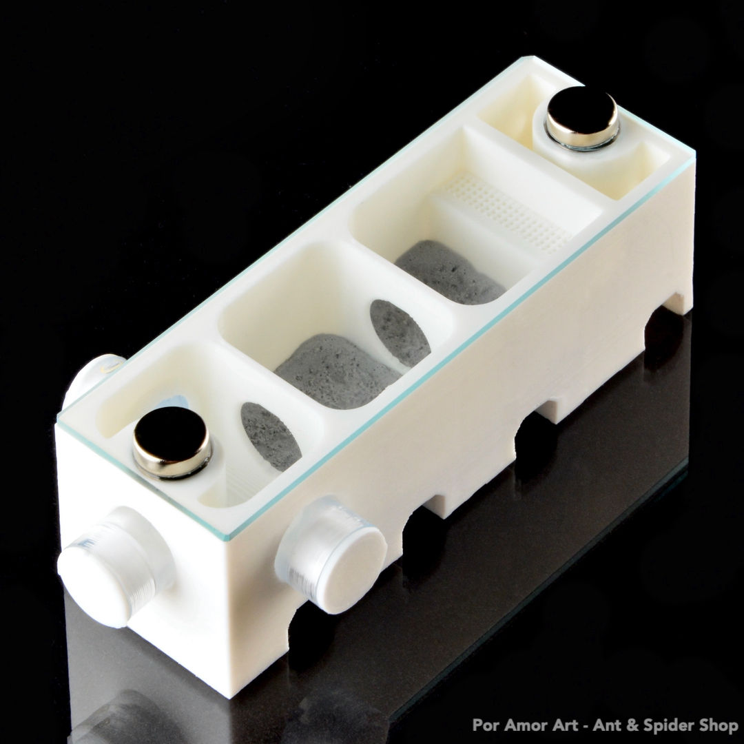 The Apartment V2 - Small founding chamber for a queen ant or a small ant colony.