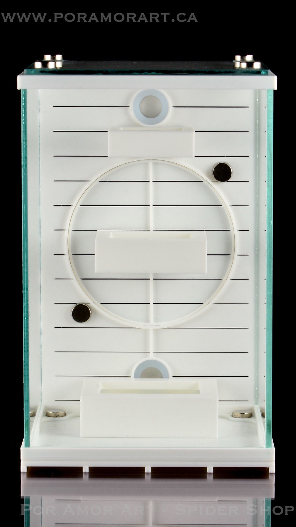 Thumbnail: Spider enclosure with mealworm dishes