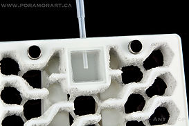 formicarium hydration chamber