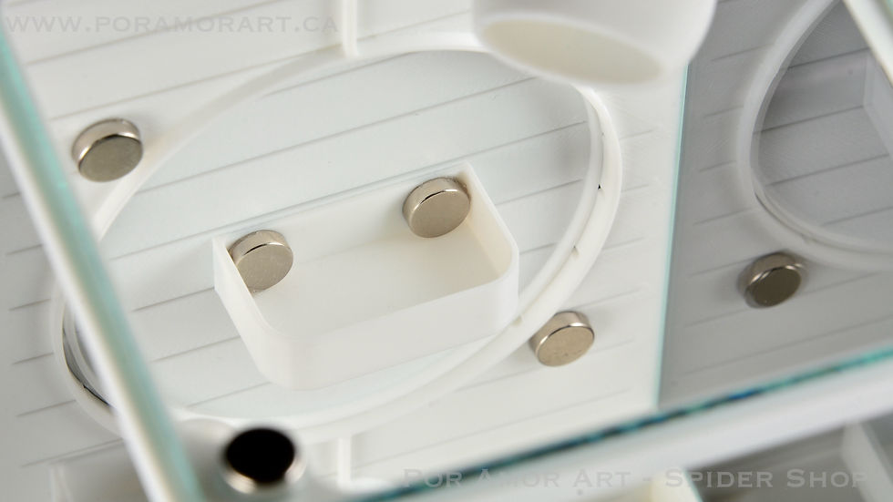 Thumbnail: Close-up of small magnetic feeding dish attached to spider enclosure latch