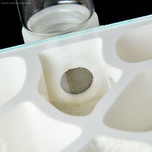 formicarium with water evaporator module attached