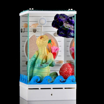 Sea world theme pet jumping spider glass enclosure.