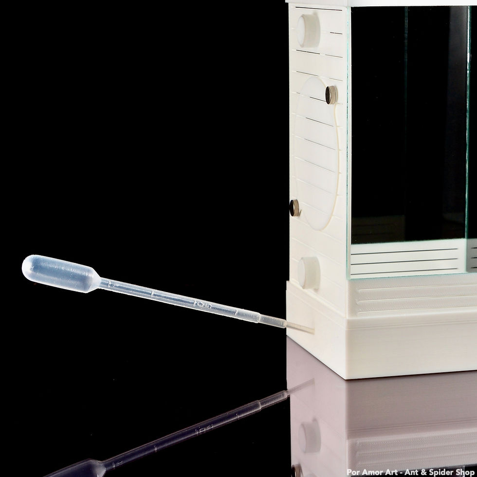 Thumbnail: Magnetic Substrate Tray for Arboreal Enclosures.