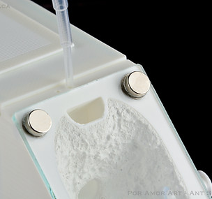 ant formicarium hydration