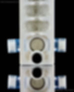 formicarium hydration