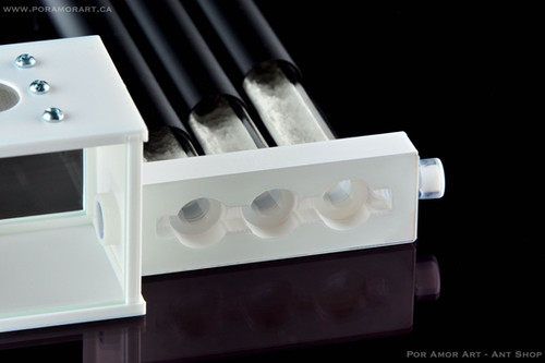 Test Tube Array Test Tube Array Formicarium - Window edition | Ant Shop