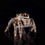 Thumbnail: Close-up of a Phidippus otiosus jumping spider with its chelicerae and distinct markings, standing on a glossy black surface,
