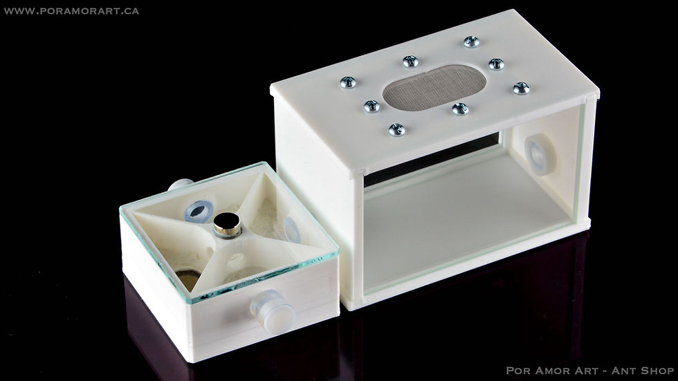 Thumbnail: small ant nest attached to small outworld area