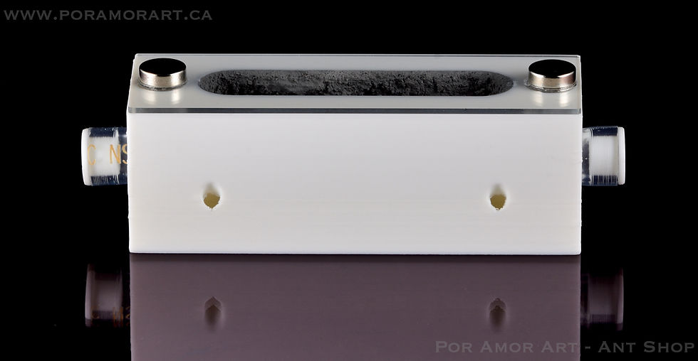 Thumbnail: small formicarium for ants