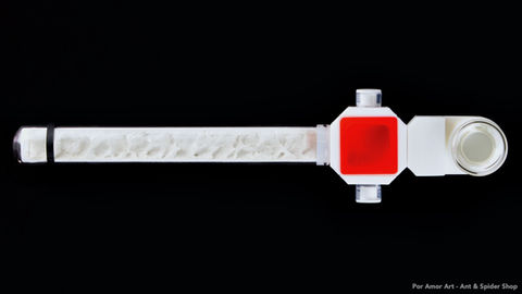 Top view of test tube formicarium showing insert substrate and attached modules