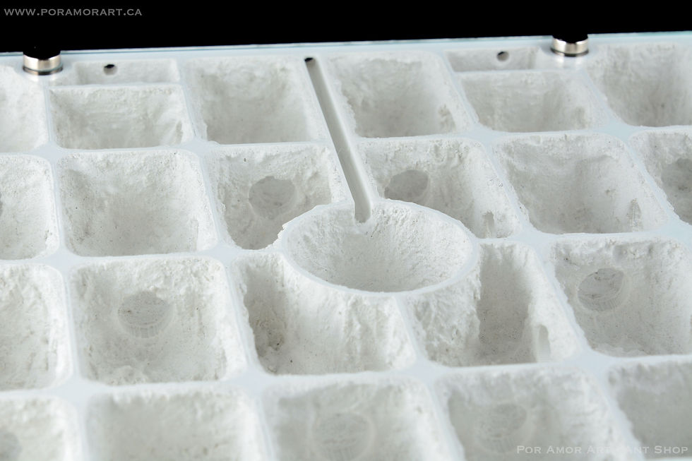 Thumbnail: Detail of central hydration chamber surrounded by dry-separated sections