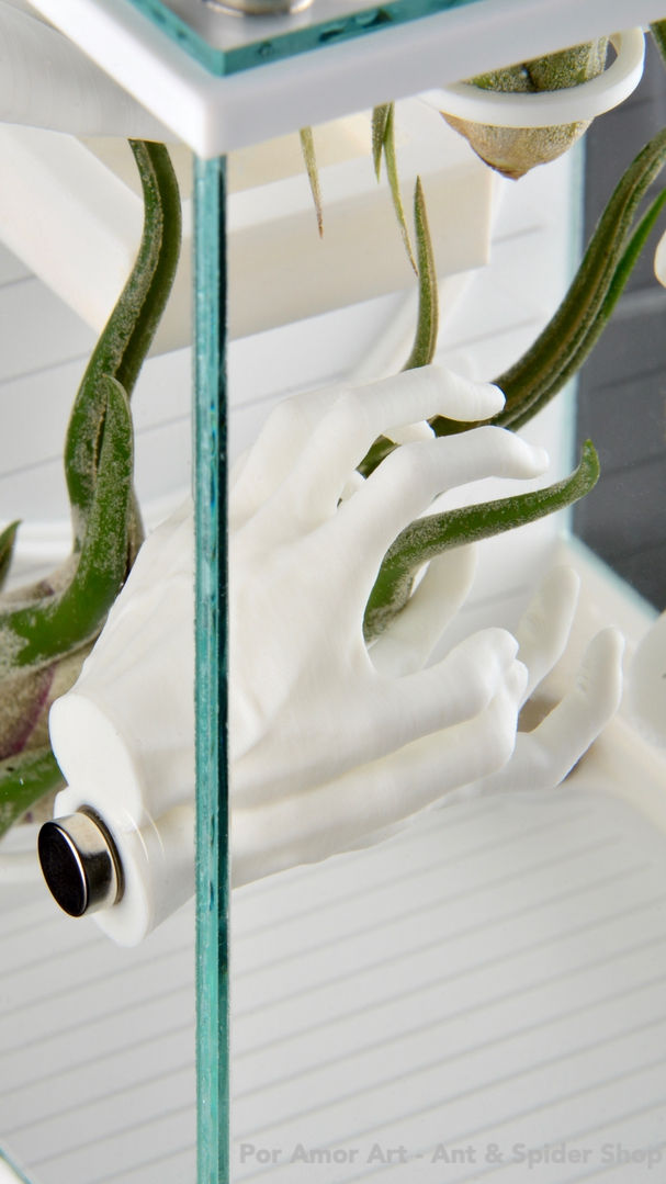 Thumbnail: A gothic-themed spider enclosure magnetic decoration, with a hand in a partially closed position.