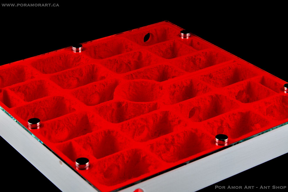 Thumbnail: Hydro Penta shown fully covered with high-transmission red film for light-sensitive species