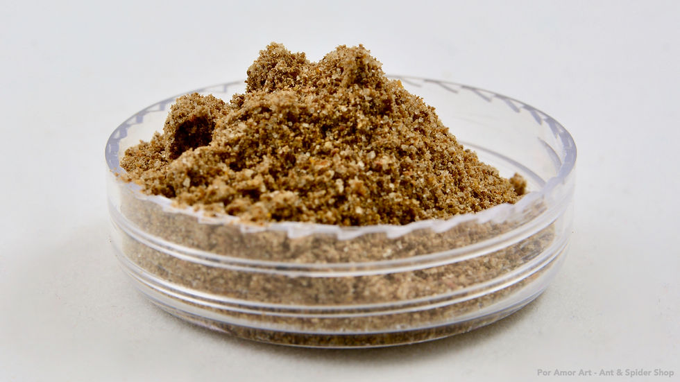 Thumbnail: Close up of FormiProtein powder (protein ant food).