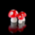 Versatile Mini Mushroom Set for Spider Habitats - Three Sizes