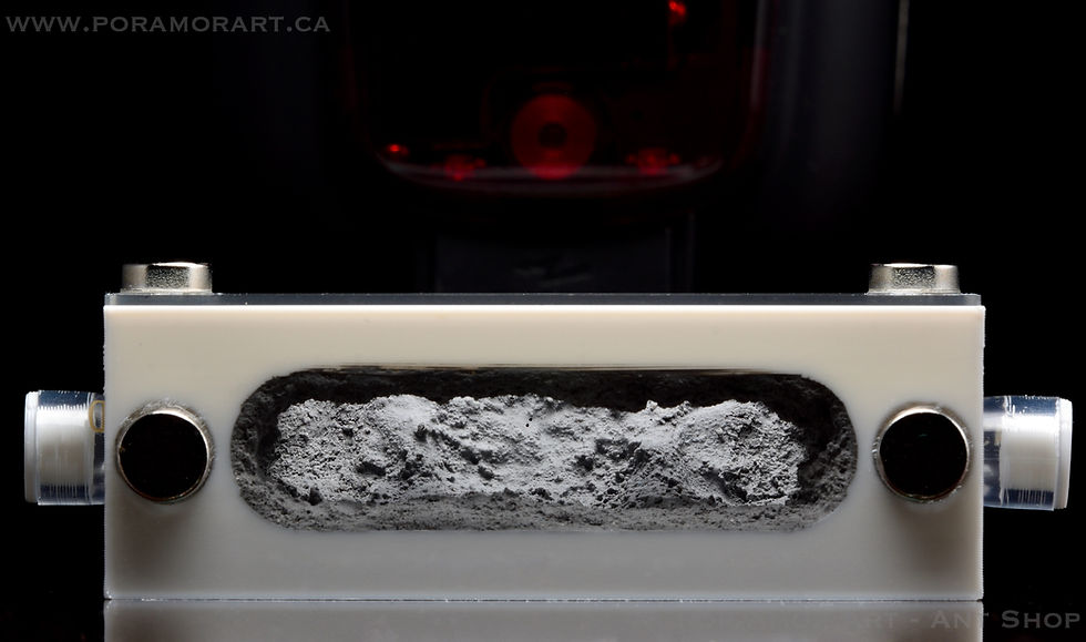 Thumbnail: small formicarium for ants