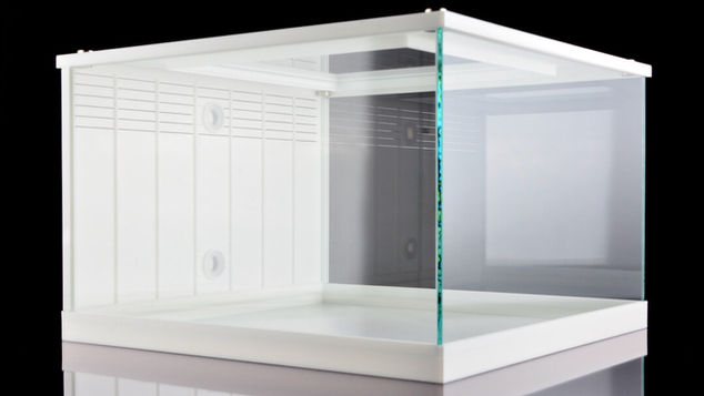 Glass enclosure for arthropods.