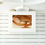 Thumbnail: maelworm dish with magnets
