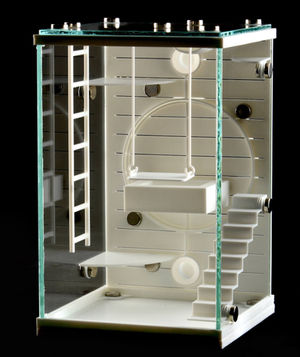Arboreal glass enclosure fully decorated for a pet jumping spider.