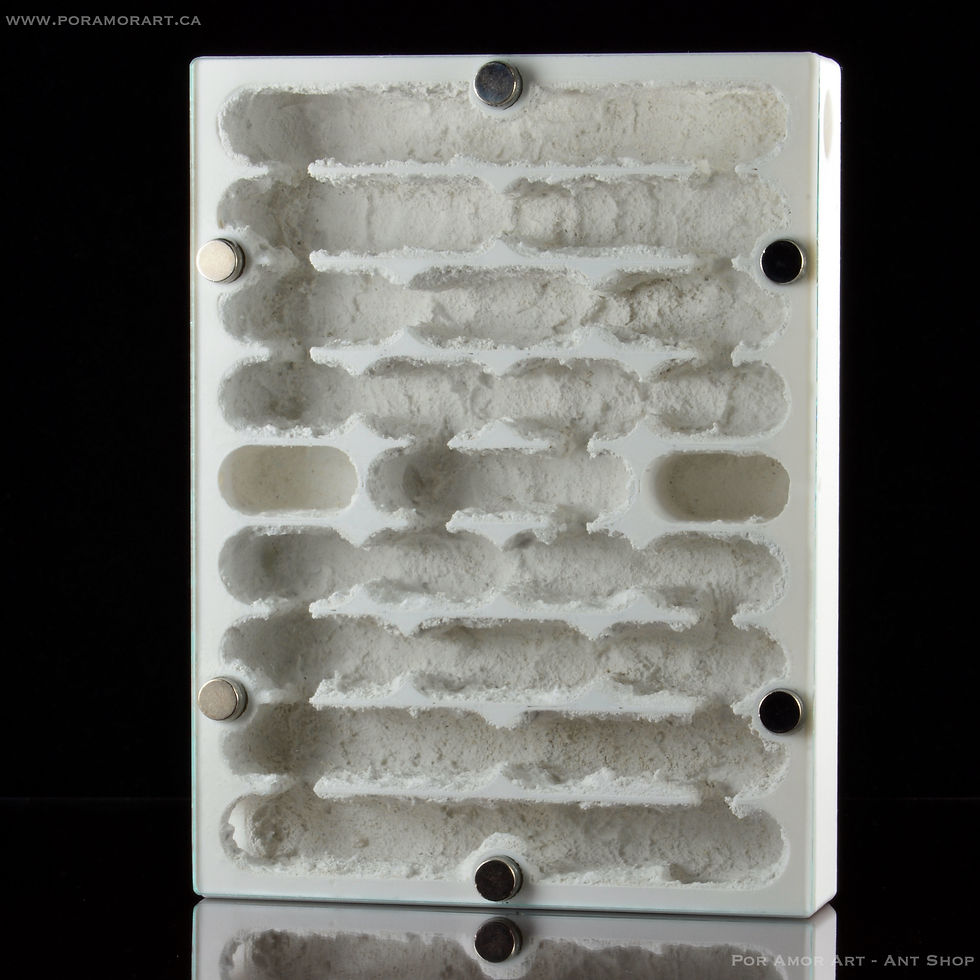 Thumbnail: hybrid formicarium with substrate