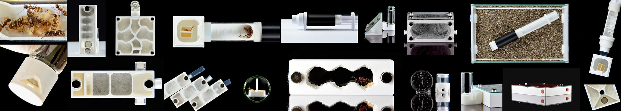 Collection of Por Amor Art ant farms, formicaria, test tubes, and outworlds in various designs