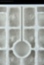 Thumbnail: Detail of central hydration chamber surrounded by dry-separated sections