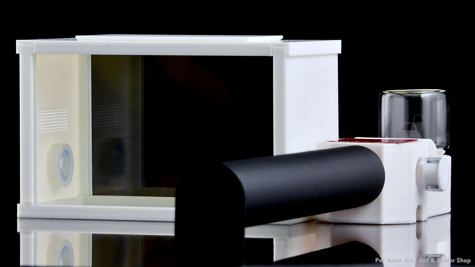 Thumbnail: Culture Tube Formicarium attached to mini glass ant outworld.