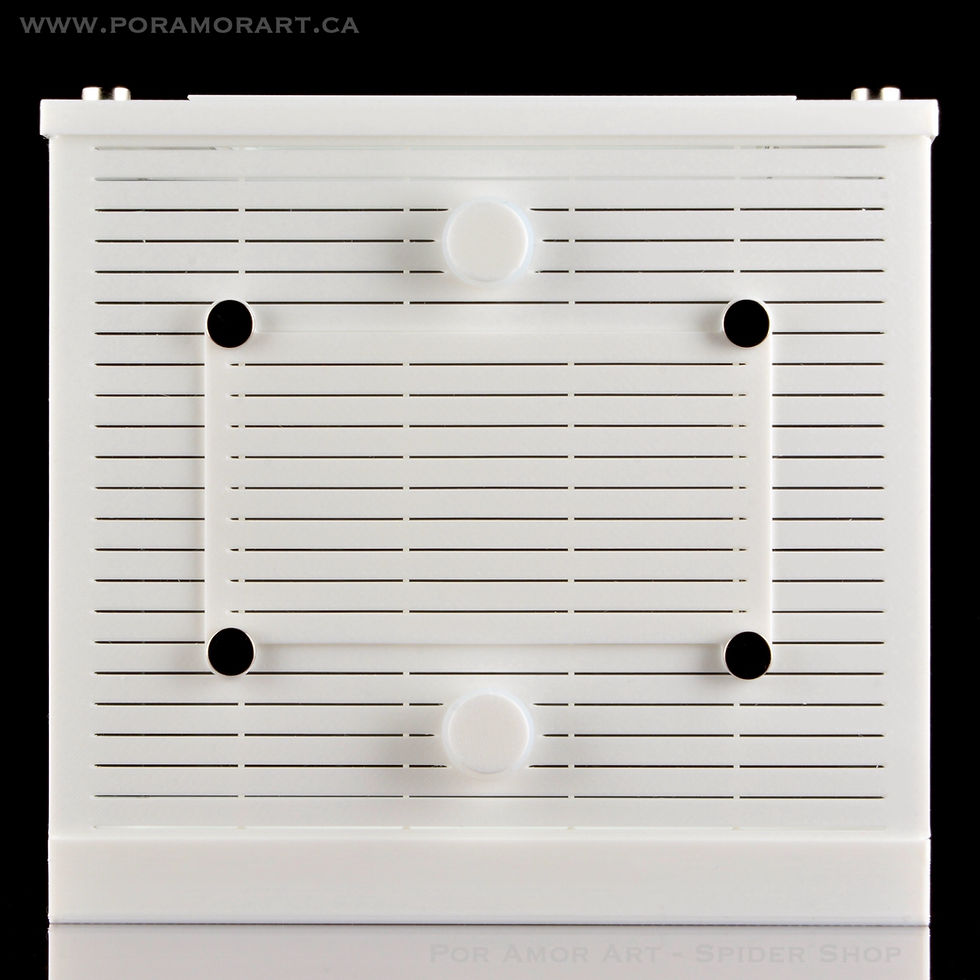 Thumbnail: tarantula enclosure