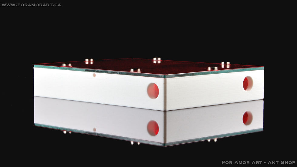 Thumbnail: formicarium with blackout lid protect ants from light