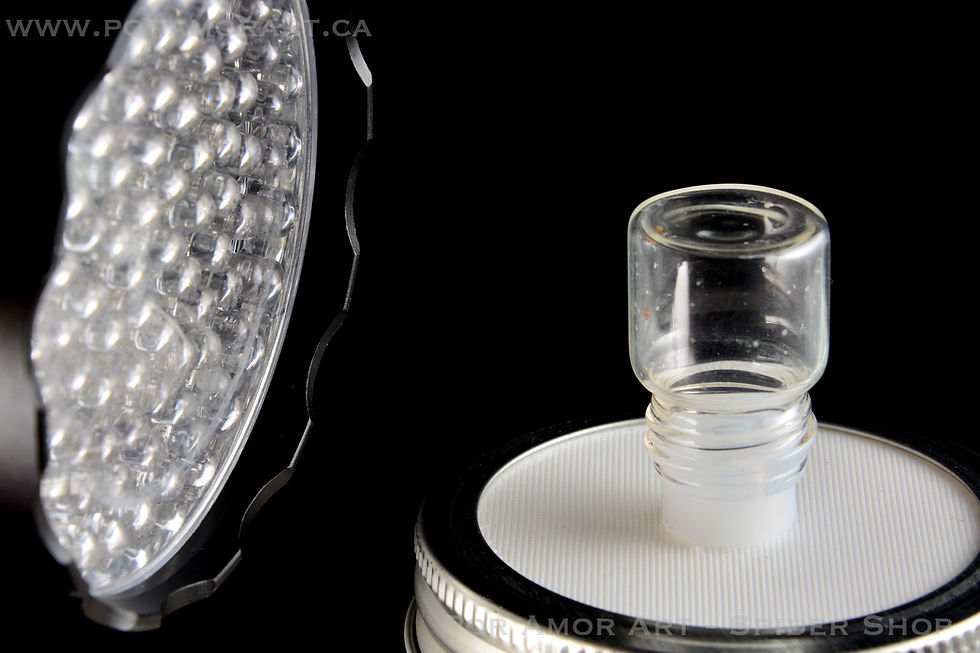 Thumbnail: Fruit fly culture kit for ants, spider and other pets.