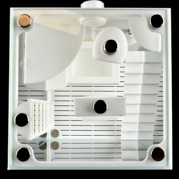 The top view of a jumping spider enclosure while fully decorated.