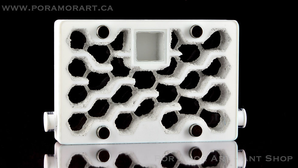 Thumbnail: formicarium for large ant colony